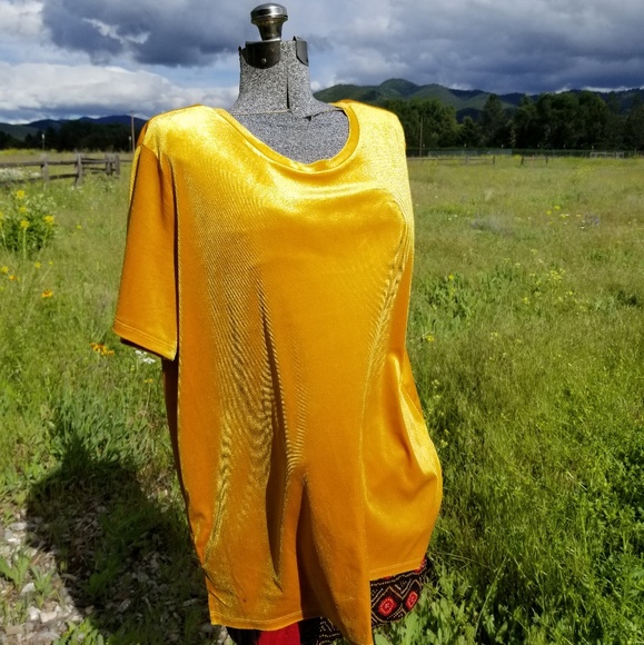 Old Navy Tops - Velvet Golden Tunic Top